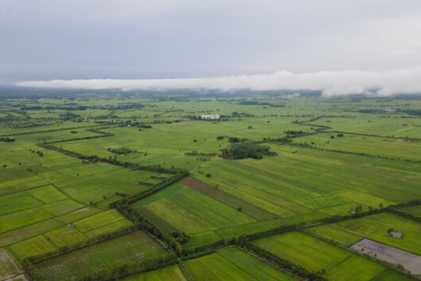 Why is agricultural land cheaper Than Residential Land